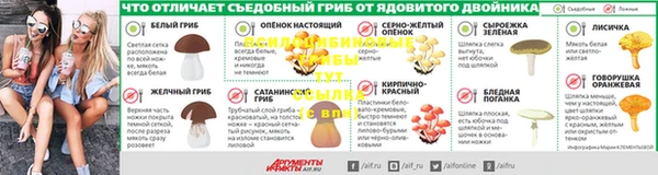 молекула духа Абинск