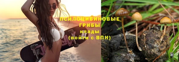 трава Алексеевка