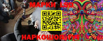 гашик Котовск