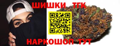 гашик Котовск