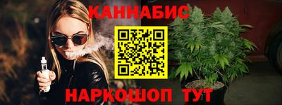 гашик Котовск
