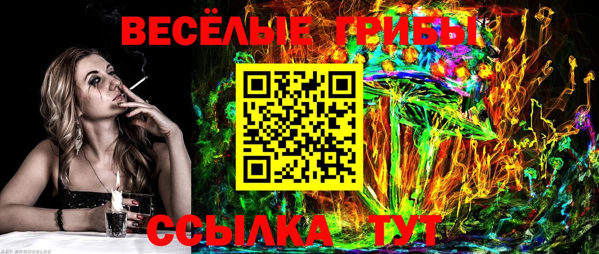 Галлюциногенные грибы Psilocybine cubensis  Вход с VPN  Искитим 